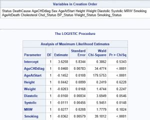 Afbeeldingsresultaten voor SAS Infile Example