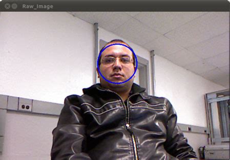 Face Detection Module に対する画像結果