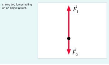 Toradh íomhá ar G11 Physics Forces with Multiple Objects Problems