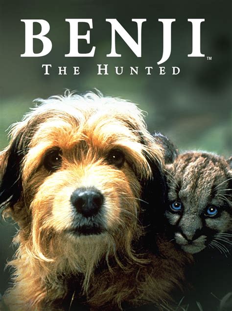 Image result for Animal Dog Movies