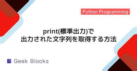 Print First Element in List Python に対する画像結果