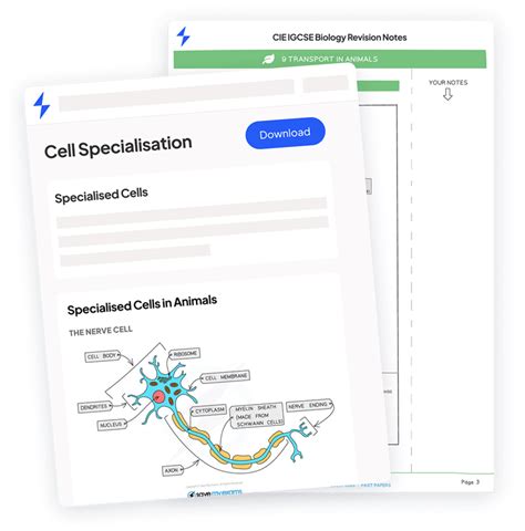 Boolean Expression GCSE Example に対する画像結果