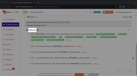Toradh íomhá ar OpenResty Modules