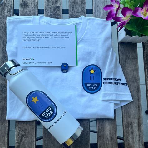 Image result for ServiceNow Developer Swag