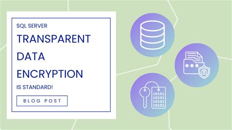 Image result for SQL Transparent Data Encryption