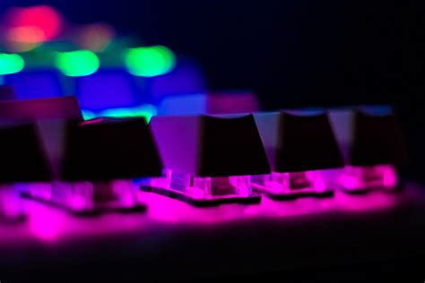 Mechanical Keyboards: The Unexpected Bibliophile Find