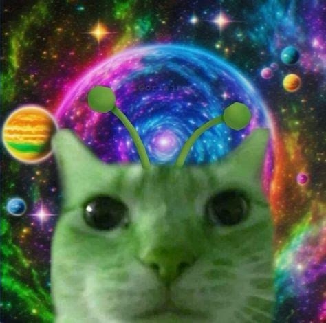 Alien Cat Boy PFP に対する画像結果