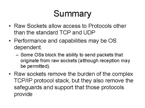 Raw Socket Programming に対する画像結果