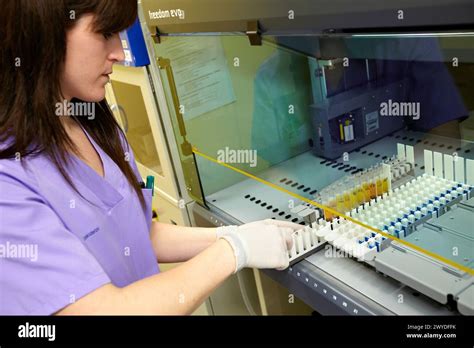 Image result for Automated Sample Inversion