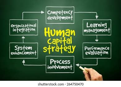Image result for Human Resources Competency Model