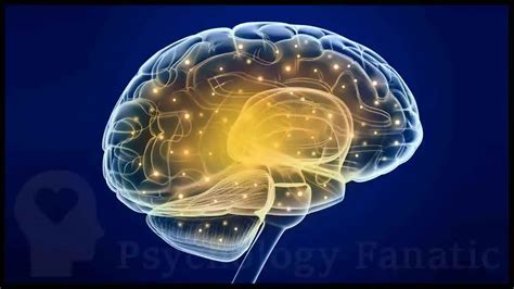 Image result for Evolutionary Psychology