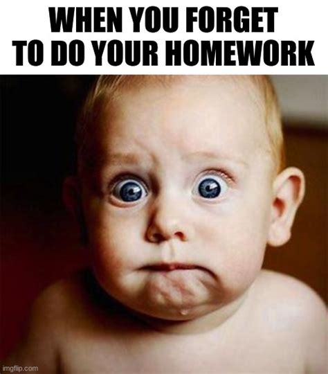 Image result for Kid Doing Homework Meme