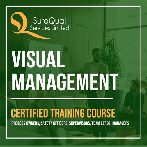 Image result for Visual Management Types