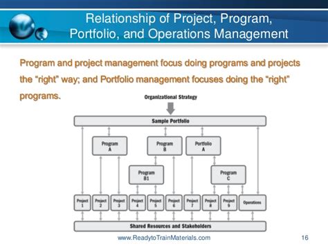 Image result for Differences Between Project Program Portfolio Management Office