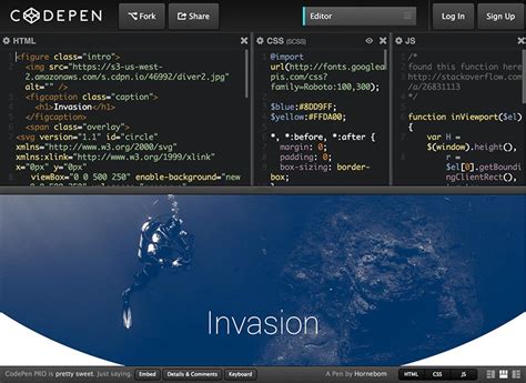 Image result for CodePen River