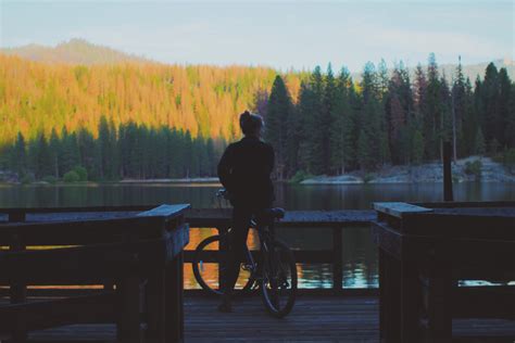 Image result for reflection shape geometry