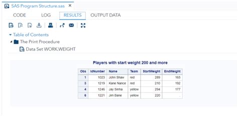 Image result for SAS Program Structure