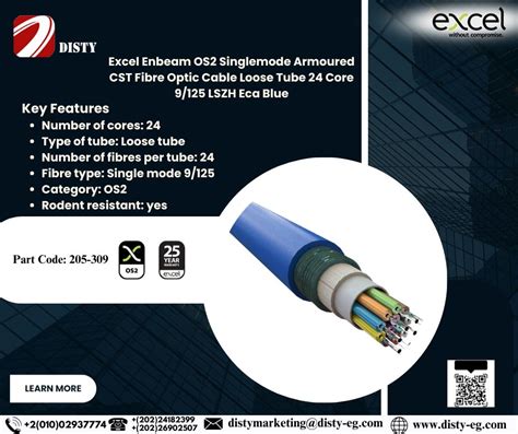 Image result for CST Excel Module