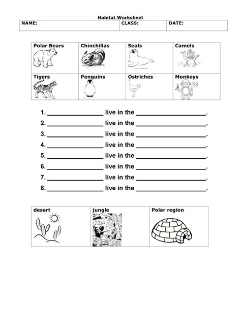 Toradh íomhá ar Science Worksheets