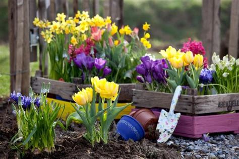 Colorful Spring Flowers and Yard Landscaping Ideas