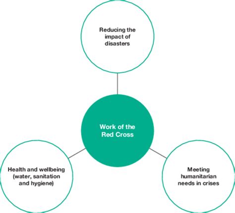 Image result for Program Life Cycle Red Cross