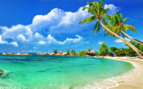 Image result for Free Beach Desktop Screensavers
