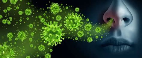 infection control and prevention に対する画像結果