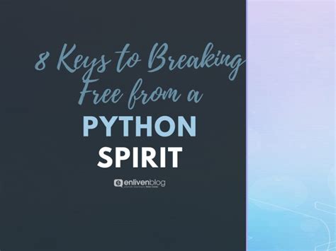 Image result for Python Spirit