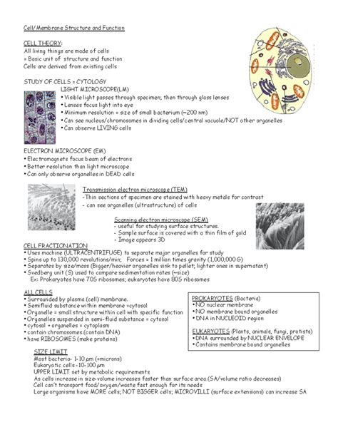 Toradh íomhá ar Cell Structure Notes