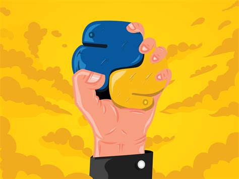 Image result for Python Lectures Poster