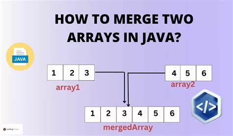 Image result for Using Arrays in Methods Java