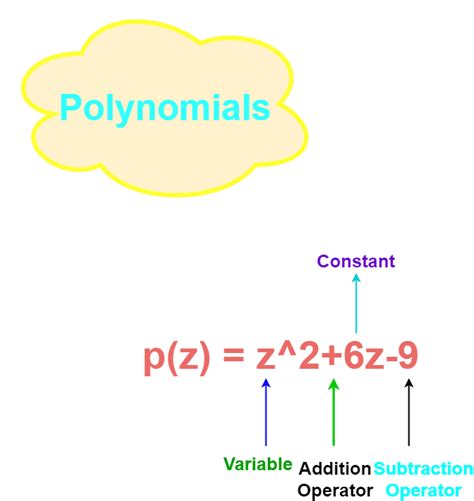 Different Types of Polynomials に対する画像結果