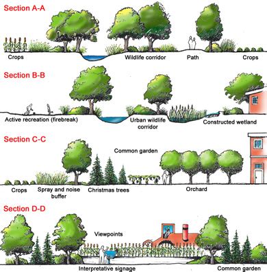 Image result for Defencable Buffer Planting