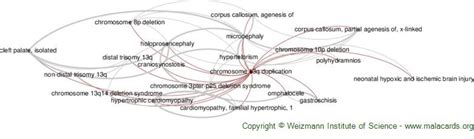 Image result for Duplication Disease