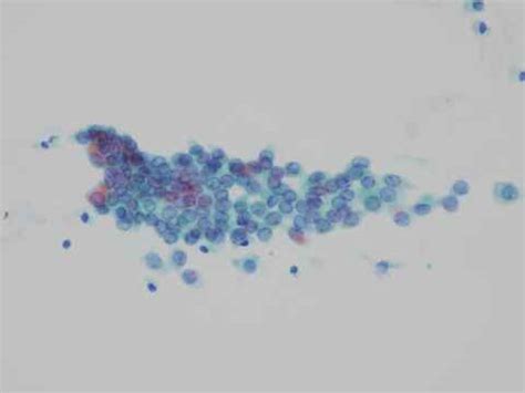 Afbeeldingsresultaten voor Nikon Eclipse UI Eu