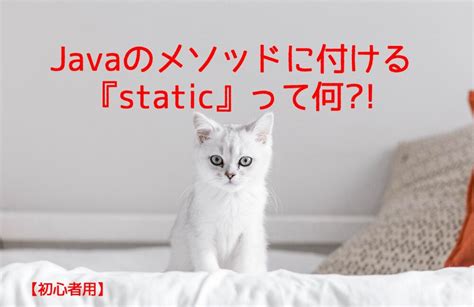 Image result for Java Was Static