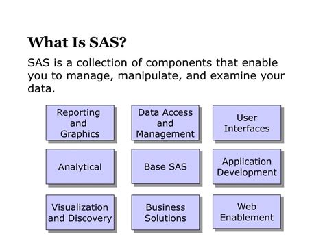 Image result for SAS Programming Slide