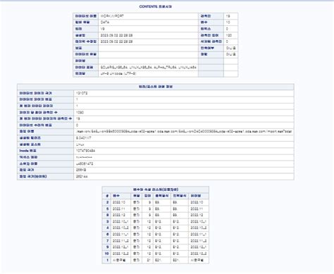 Proc Import CSV File SAS に対する画像結果