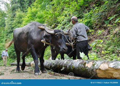 Image result for OX Postcode