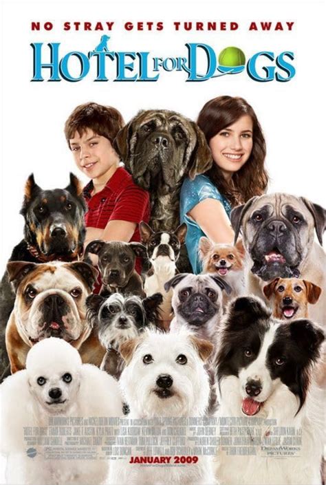 Image result for Animal Dog Movies