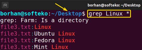 Image result for Grep Command in Linux to Find a File