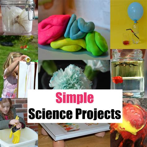 Image result for Science Projects