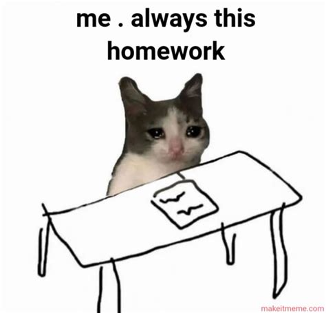 Image result for Kid Doing Homework Meme