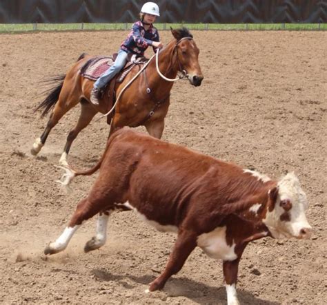 Afbeeldingsresultaten voor Spring Drafting Solid Work