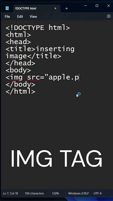 Image result for How to Add Pic in HTML