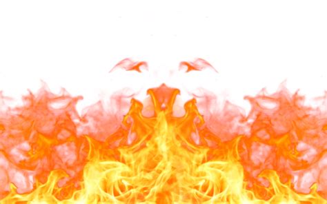 Image result for API Image Transparent