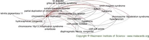 Image result for Duplication Disease