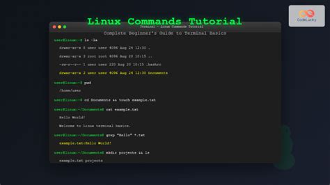 Image result for 15 Basic Linux Commands