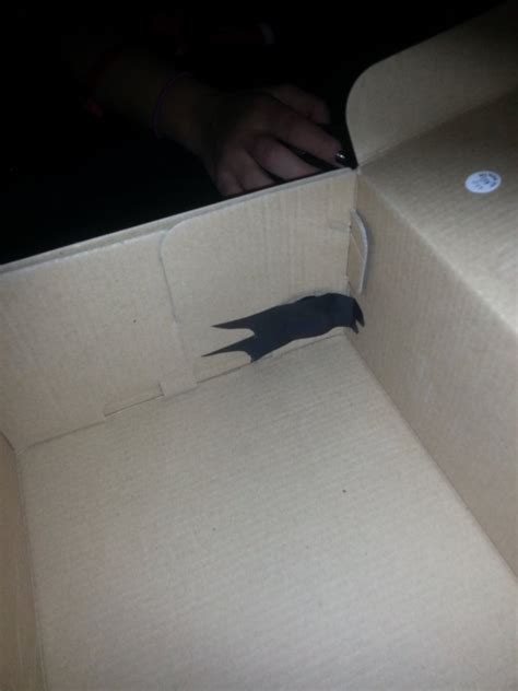 Phone Projector Box に対する画像結果