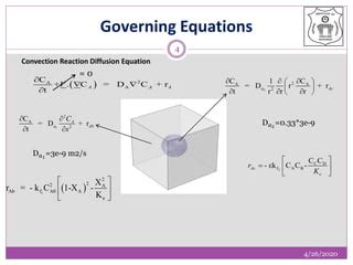 Exponential Function Formulation COMSOL Diffusion に対する画像結果